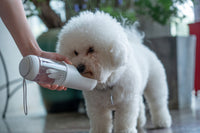 Pet Life PYURE Portable Water Bottle & Drinking Tray