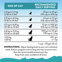Salmon Bleu Dry Cat Food