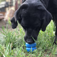 Double Trouble Dog Toy - Dual Chamber Treat Dispenser for Large Dogs | USA Made