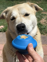 SodaPup Flying Saucer Treat Dispenser