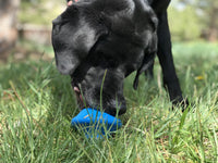 SodaPup Flying Saucer Treat Dispenser