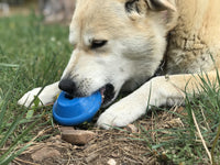 SodaPup Flying Saucer Treat Dispenser