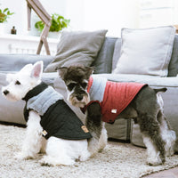 Touchdog 'Furrost-Bite' Fur and Fleece Designer Fashion Dog Jacket