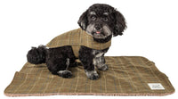 Touchdog ® 2-In-1 Windowpane Plaid Dog Jacket and Matching Reversible Dog Mat