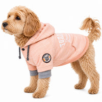 Touchdog ® Hampton Beach Ultra-Soft Blasted Cotton Hooded Dog Sweater