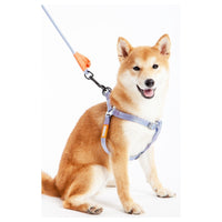 Touchdog Macaron Harness & Leash Set