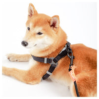 Touchdog Macaron Harness & Leash Set