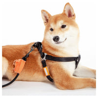 Touchdog Macaron Harness & Leash Set