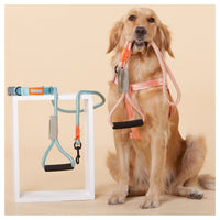 Touchdog Macaron Harness & Leash Set
