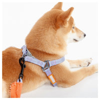 Touchdog Macaron Harness & Leash Set