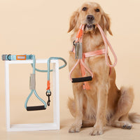 Touchdog Macaron Harness & Leash Set
