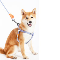 Touchdog Macaron Harness & Leash Set
