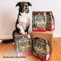 Viva La Venison Dry Dog Food